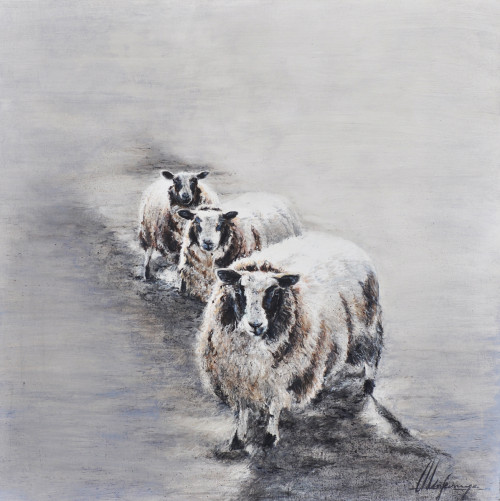 Annabelle Lanfermeijer + Eigenwijs drietal